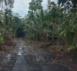 Masyarakat Keluhkan Akses Jalan Desa Jalupang, Kecamatan Banjarsari, Lebak Banten