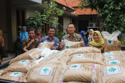 1 Ton Bibit Padi Untuk Petani Lamongan Terdampak Banjir