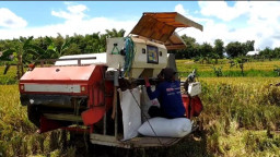 Hasil Penen Raya Pertama di Ponorogo Capai 175.242 Ton, Diprediksi Tertinggi Tahun Ini