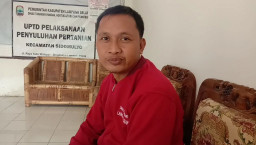 Jelang Panen Raya di Kabupaten Lampung Selatan, Harga Gabah Jangan Anjlok