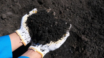 BUMDes di Taliwang NTB Sukses Olah FABA dari PLN, Berdayakan Masyarakat Desa