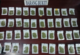 Dua Pengedar Narkotika Jenis Tembakau Gorila di Cilegon, Diringkus