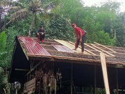 Rehab Balai Adat Halintung secara Gotong Royong Warga Laburan