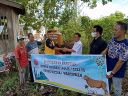 PT. Indocement Tunggal Prakarsa Serahkan Hewan Qurban pada PWI Kotabaru