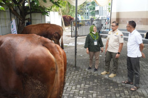 Jelang Perayaan Idul Adha, Pj. Wali Kota Batu Keliling ke Sejumlah Lokasi Hewan Kurban