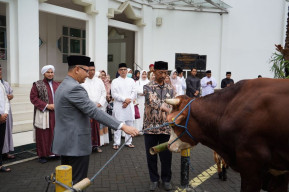 Pj Wali Kota Serahkan 33 Hewan Qurban Sumbangan ASN Kota Batu