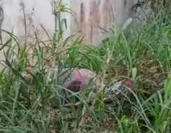 Diduga Korban Pembunuhan, Polres Ponorogo Otopsi Mayat Dalam Karpet di Ngawi