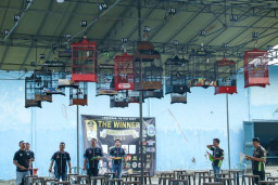 Ribuan Burung Berkicau Ikut Dalam Bupati Cup Lamongan 2023