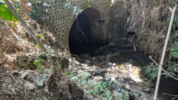 Diterjang Banjir Talud Jembatan di Ponorogo Ini Longsor