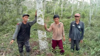 Warga Desa Pangkalan Benteng Hadang Alat Berat Milk PT Swarna Cide Raya