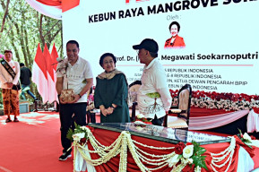Megawati Resmikan Kebun Raya Mangrove Surabaya: Lokasi Wisata dan Edukasi Masyarakat