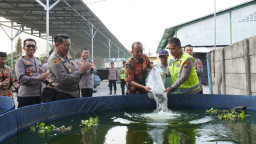Kapolresta Sidoarjo Tebar 5.000 Benih Ikan Lele di Desa Bangah
