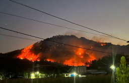 Breaking News! Hutan Gunung Gede Ponorogo Terbakar Hebat, Api Dekati Permukiman