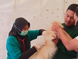 Cegah Rabies, Pemkot Madiun Gelar Vaksinasi Gratis