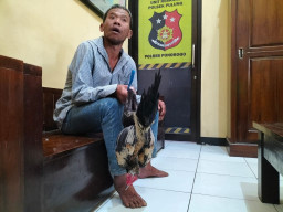 Tertangkap Curi Ayam, Warga Ponorogo Ini Nyaris Dihakimi Massa