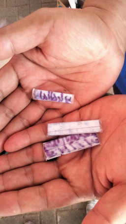 Peserta CPNS 2023 Banyak Bawa Jimat Hingga Kembang Kantil