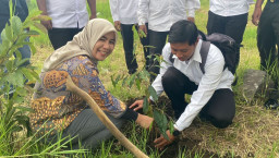 KPU Tanam 5.709.898 Bibit Pohon Secara Serentak di Seluruh Indonesia