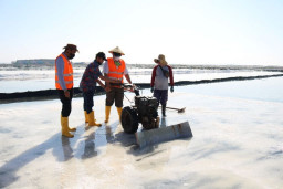Percepat Pembentukan BUMN Holding Pangan, Tim Staf Presiden Tinjau PT Garam