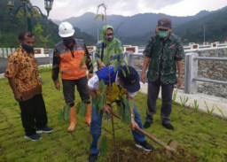 Sabuk Hijau Bendungan Tukul Pacitan Ditanami Pohon Buah