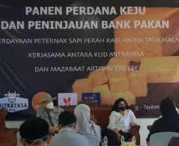 Mazaraat Artisan Cheese Konsolidasikan Koperasi Produsen Susu