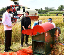 Tinjau Hasil Panen Padi di Kabupaten Malang, Jokowi Sebut Tidak Perlu Impor Beras
