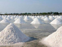 KPPU Ungkap Potensi Permasalahan Garam Impor