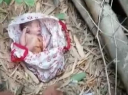 Gempar! Warga Balongbendo Temukan Bayi Dalam Tas Kresek di Kebon Bambu