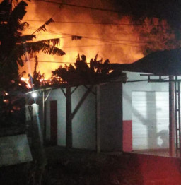 Si Jago Merah Mengamuk di Ponorogo, Nenek 70 Tahun Luka Ringan