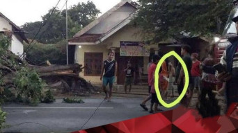 Pohon Tua di Mojokerto Ditebang, Langsung Muncul Penampakan Kuntilanak