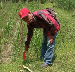 900 Pemohon PTSL Tahun 2022 Pemdes Sumbersari, Berharap Ada Percepatan Proses