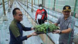 Walikota Madiun Bersama Sesmenko Perkonomian Ajak Milenial Manfaatkan Lahan Tidur