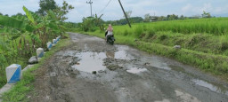 Catat! Jalan Bobrok di Ponorogo Mulai Diperbaiki Mei