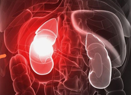 Jatim Waspada, dari 24 Anak yang Kena Gagal Ginjal Akut, 13 Meninggal