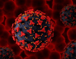 Satu Pasien Covid-19 Omicron XBB Ada di Surabaya