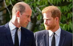 Harry Akui Pernah Dihajar Kakaknya, Pangeran William