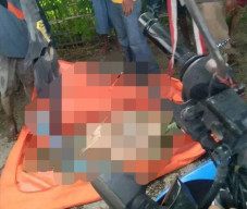 Ngeri, Sepasang Kaki Wanita dan Mayat Bayi Ditemukan Tersangkut  di Pohon Bakau
