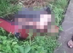 Mayat tanpa Kepala dan Kaki Dalam Koper Merah, Bikin Heboh Warga Bogor