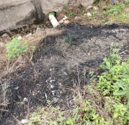 Limbah PT Nippon Indo Sari Diduga Meluber ke Lahan Sekitar