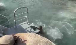 Kaki Tersangkut Baling-Baling Perahu, Turis Kehilangann Satu Kaki