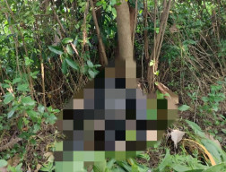 Geger, Warga Ponorogo Temukan Jasad Pria tanpa Kepala