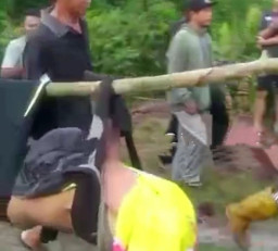 Diserang Harimau,  Badan dan  Kepala Pemuda Ini Terpisah