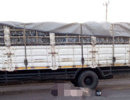 Hindari Lubang, Wanita Ini Tewas Terlindas Truk