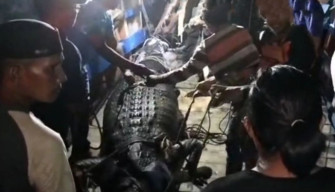 Diserang saat Cari Siput, Anggota Linmas Ditemukan Dalam Perut Buaya