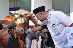 Idul Adha 1444 H, PGN Subholding Gas Pertamina Serahkan 368 Hewan Qurban