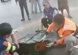 Usai Beli Kue, Wanita Ini Tewas Ditabrak Truk