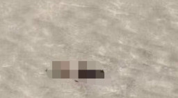 Masuki Cagar Alam tanpa Izin, 3 Orang Tewas dan 1 Hilang