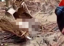 Wanita tanpa Identitas Ditemukan Mengambang di Sungai Batangtoru