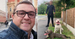 Pria Ini Tewas Diserang Dua Anjing Milik Tetangganya