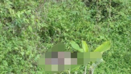 Mayat Wanita Tak Dikenal Ditemukan di Semak Belukar