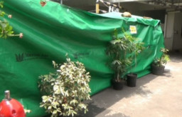 Diduga karena Masalah Asmara, Wanita Muda Lompat dari Lantai 17 Apartemen